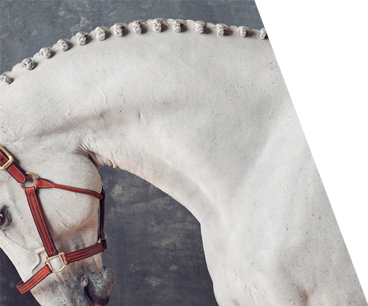 Puissance Captured Moments